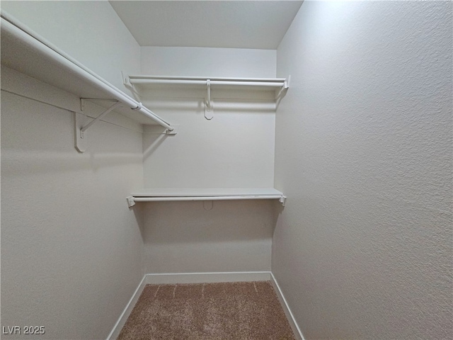 spacious closet with carpet flooring