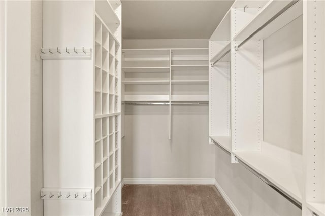 walk in closet with wood finished floors