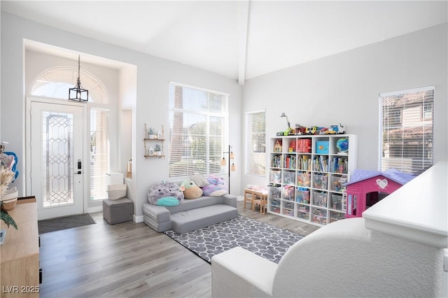 sitting room featuring wood finished floors, a healthy amount of sunlight, and lofted ceiling