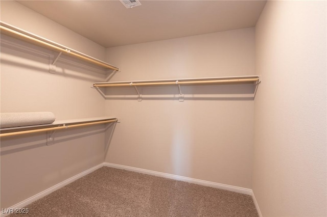 walk in closet featuring carpet floors