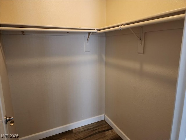 walk in closet featuring dark wood-type flooring