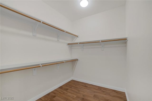 walk in closet featuring wood finished floors