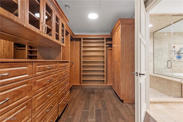 spacious closet featuring visible vents and dark wood-style floors