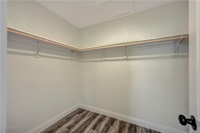 spacious closet with wood finished floors