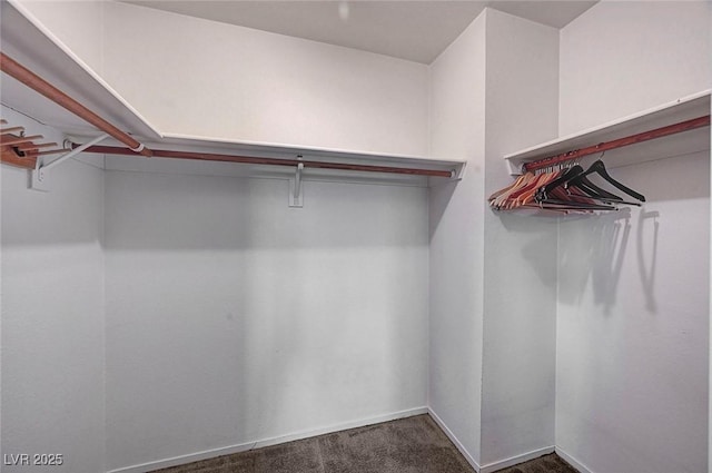 spacious closet with dark carpet