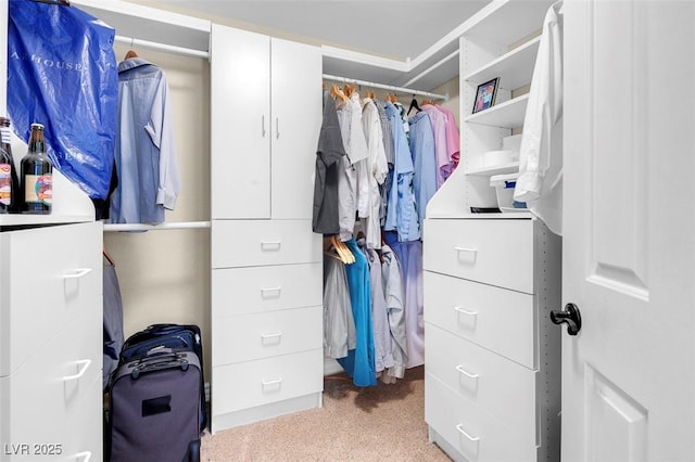 walk in closet with light carpet