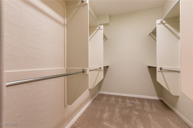 walk in closet with carpet