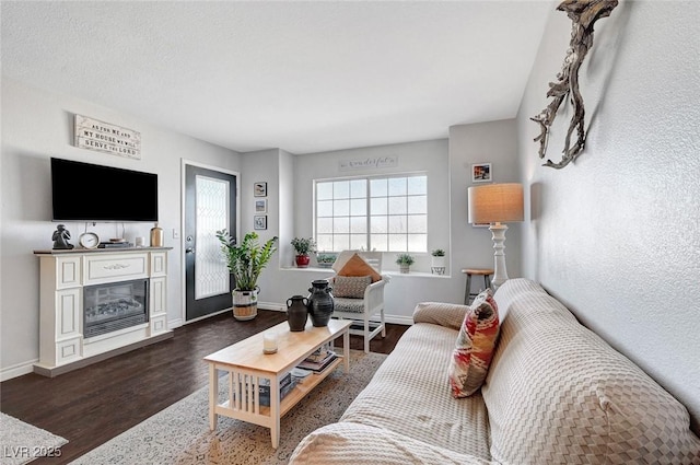 living area featuring a glass covered fireplace, baseboards, plenty of natural light, and wood finished floors