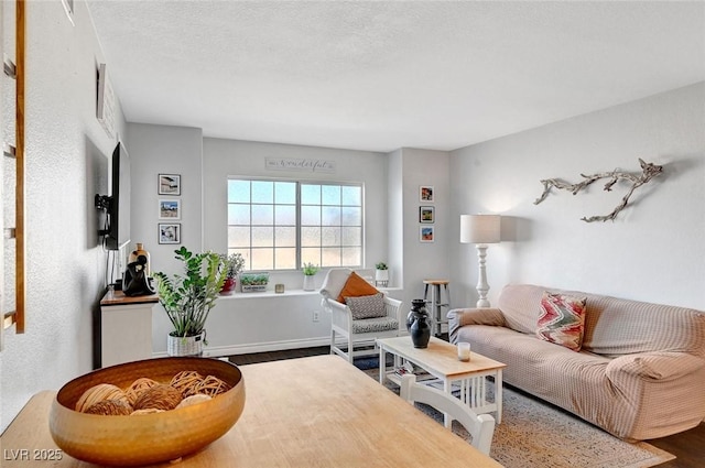 living area with a textured ceiling and wood finished floors