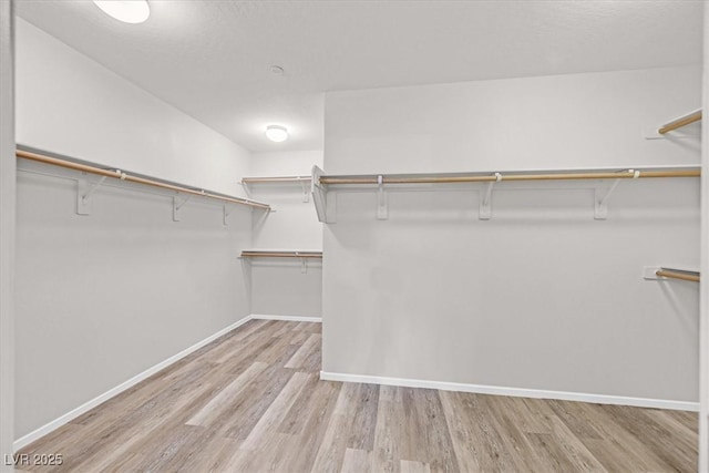 spacious closet featuring wood finished floors