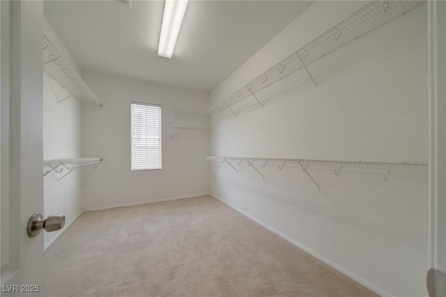 8348 Mokena Ave, Las Vegas, NV 89178 - spacious closet featuring carpet floors