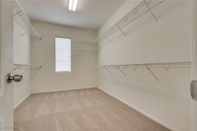 8348 Mokena Ave, Las Vegas, NV 89178 - photo 21