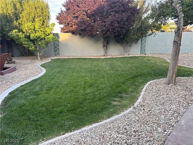 view of yard with a fenced backyard
