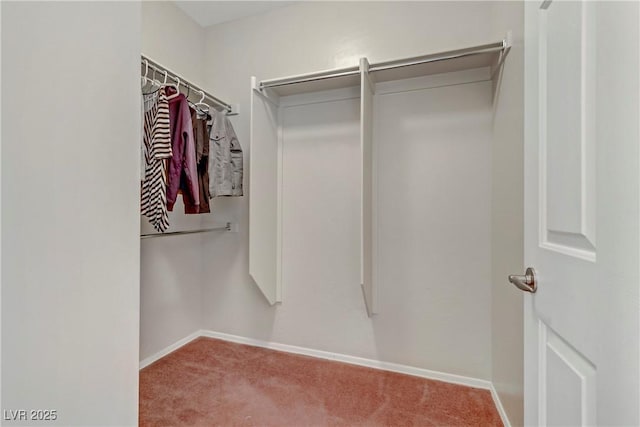 spacious closet with carpet floors