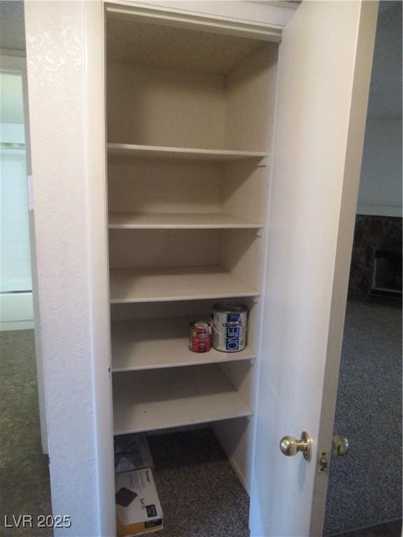 view of closet