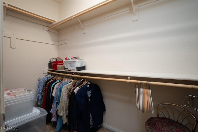 view of walk in closet