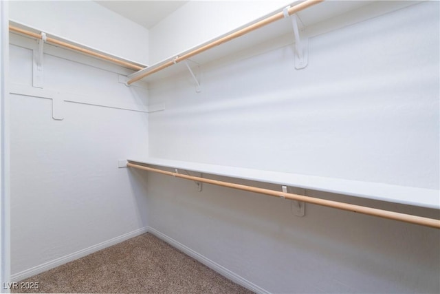 609 Viale Machiavelli Ln, Henderson, NV 89011 - spacious closet with carpet floors