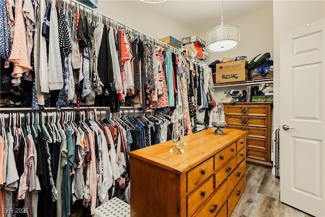 spacious closet with light wood-type flooring