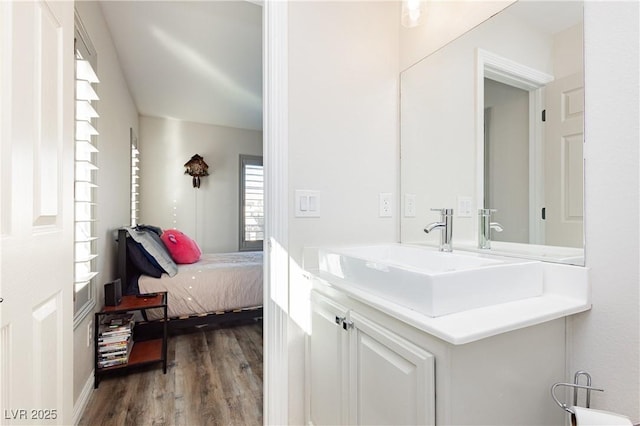 bathroom featuring wood finished floors and vanity