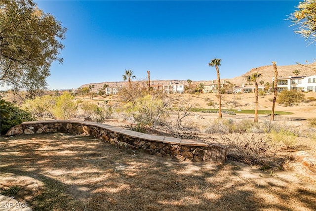 view of yard featuring a mountain view