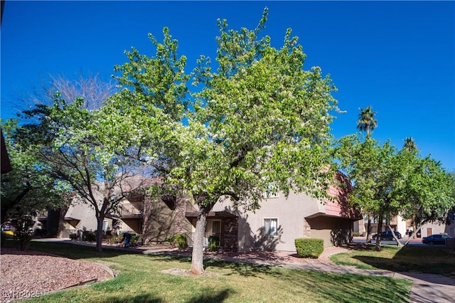 view of front of property with stucco siding and a front lawn