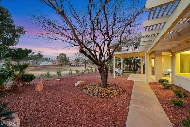 view of yard featuring a patio area and a pergola