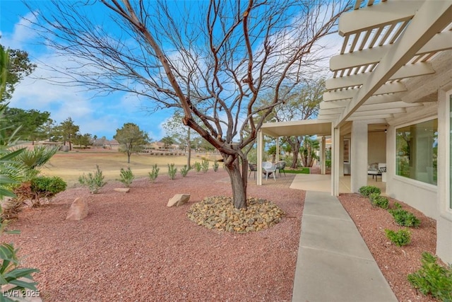 view of yard featuring a patio and a pergola