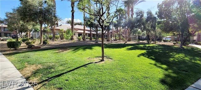 view of community featuring a residential view and a lawn