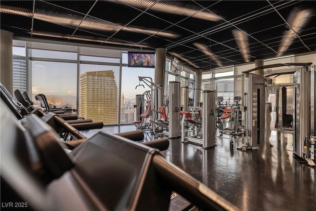 workout area with floor to ceiling windows