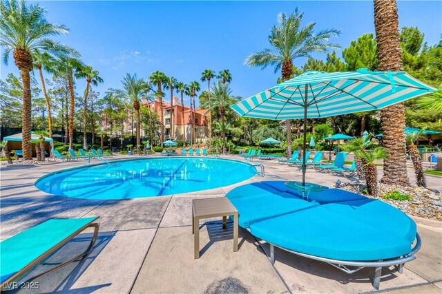 pool featuring a patio