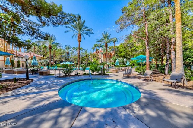 view of swimming pool with a patio and a pool