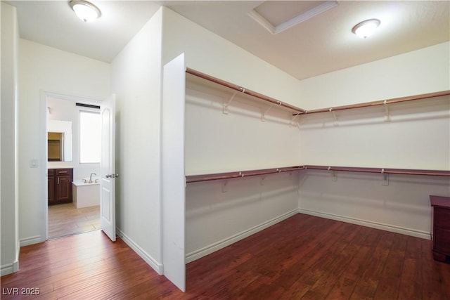 spacious closet featuring attic access and dark wood-style floors