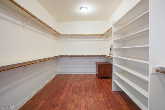 spacious closet with dark wood-style flooring