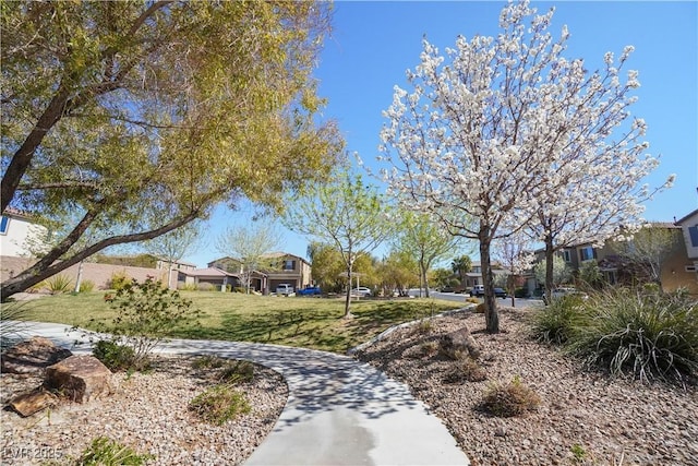 view of home's community with a lawn