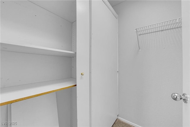 walk in closet featuring carpet flooring