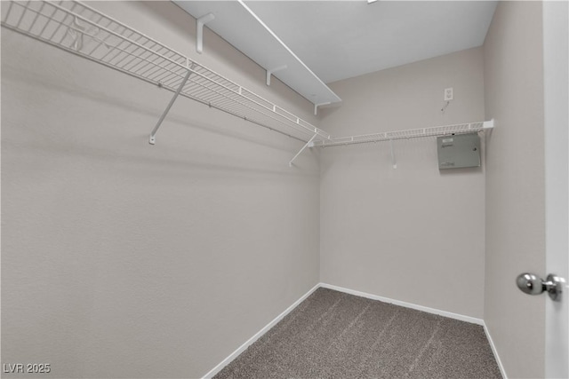 walk in closet with dark carpet