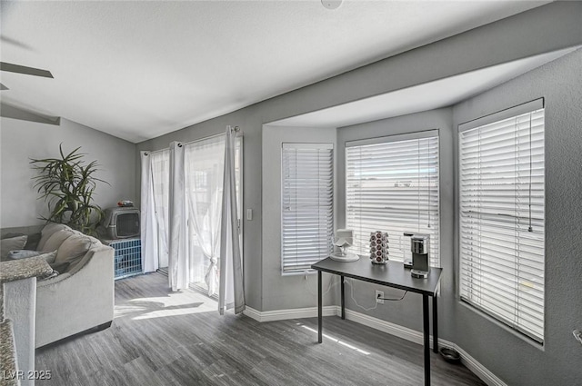 interior space featuring plenty of natural light, wood finished floors, and baseboards