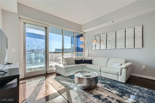 living room with wood finished floors and baseboards