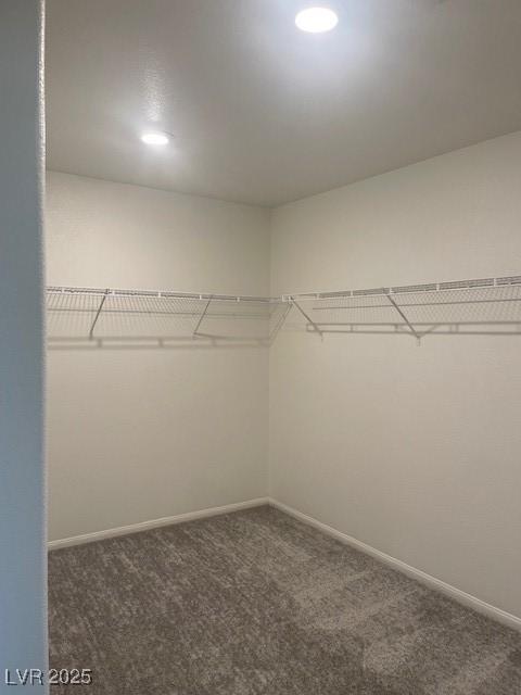 spacious closet with carpet