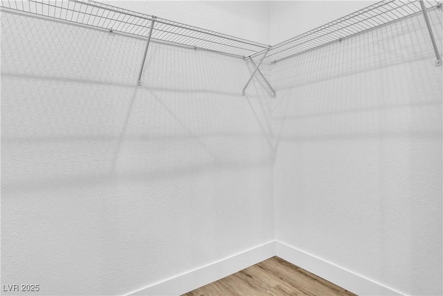 walk in closet featuring light wood-style floors