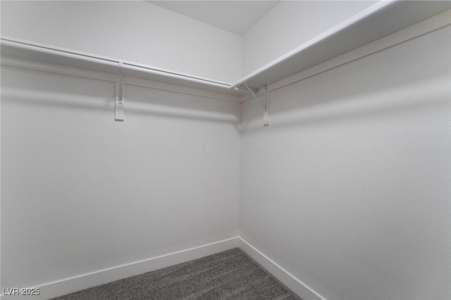 walk in closet with dark colored carpet