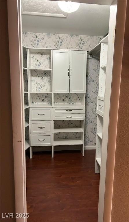 walk in closet with dark wood-style flooring