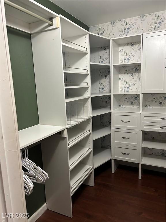 spacious closet featuring dark wood-style floors