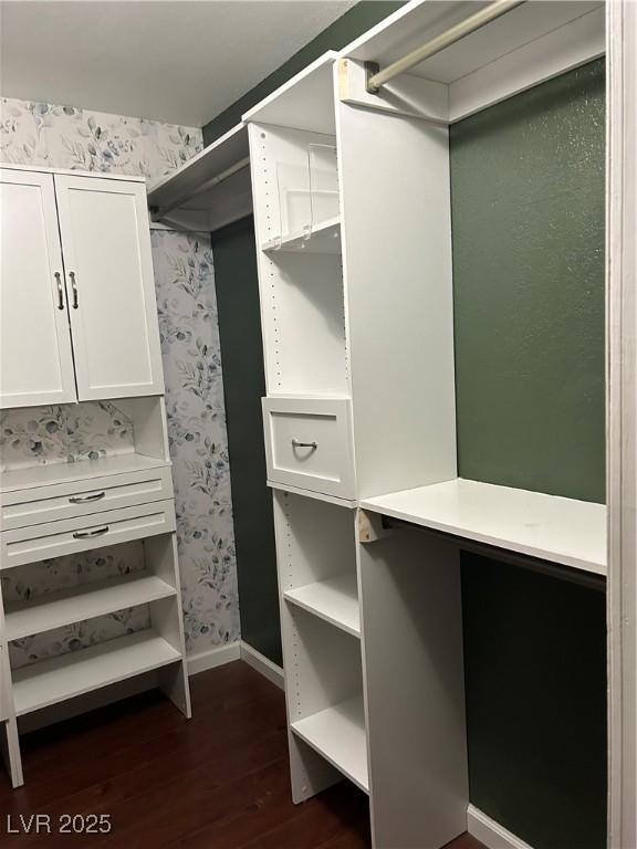 walk in closet featuring dark wood finished floors