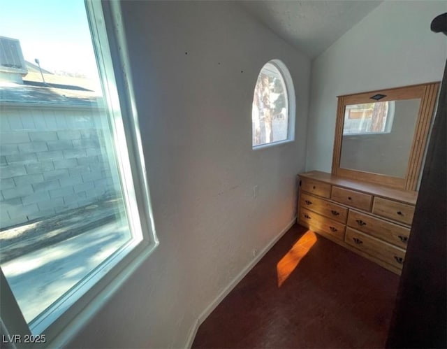 bedroom with lofted ceiling and multiple windows