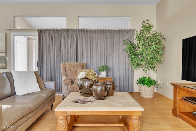 living room featuring wood finished floors