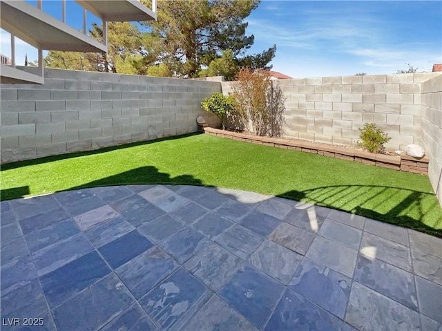 view of yard featuring a patio and a fenced backyard