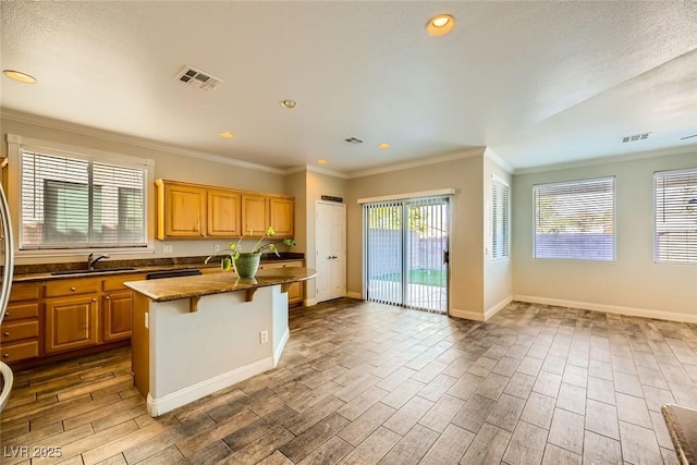 kitchen featuring wood finish floors, visible vents, and a sink