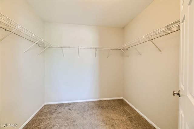 spacious closet with carpet flooring