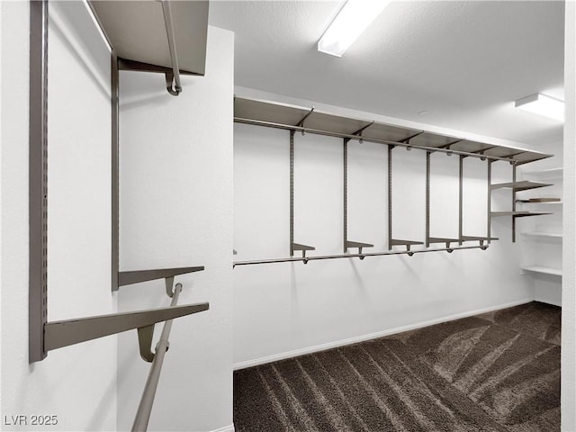 spacious closet featuring dark colored carpet